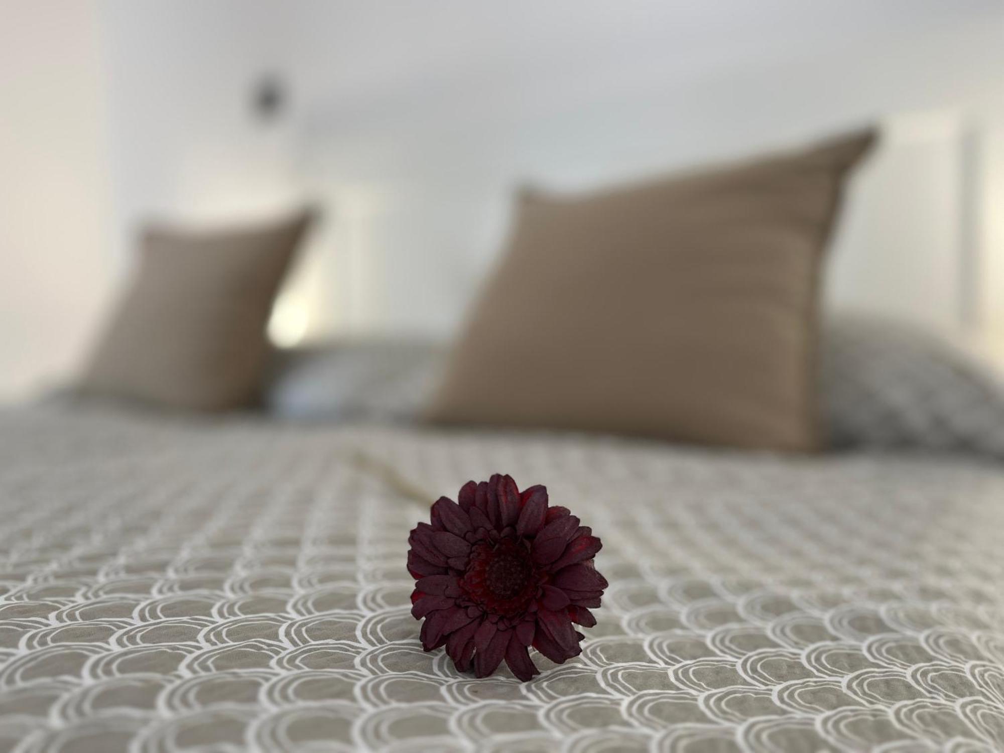 Modern A Belvaros Koezepen Parkoloval- Kata Studioapartman *